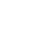 Instituto Universitario Veracruzano